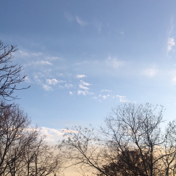 Meet your Posher, Joann - Picture 1 of 1